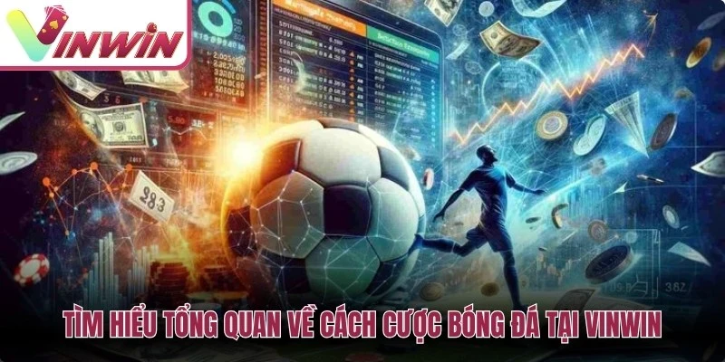 Tìm hiểu tổng quan về cách cược bóng đá tại Vinwin
