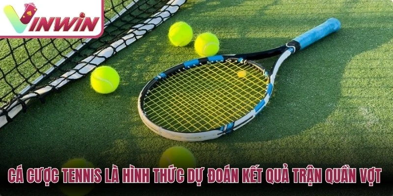Cá cược tennis là hình thức dự đoán kết quả trận quần vợt chuyên nghiệp