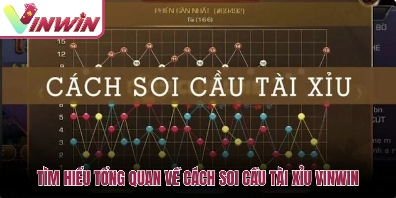 Tìm hiểu tổng quan về cách soi cầu tài xỉu Vinwin