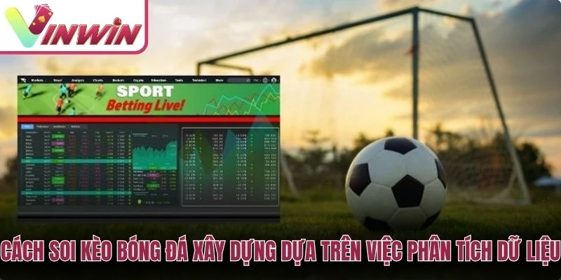 Cách soi kèo bóng đá được xây dựng dựa trên việc phân tích dữ liệu