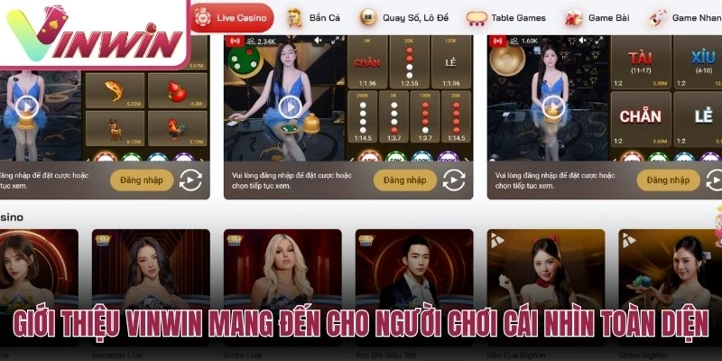 Giới thiệu Vinwin mang đến cho người chơi cái nhìn toàn diện